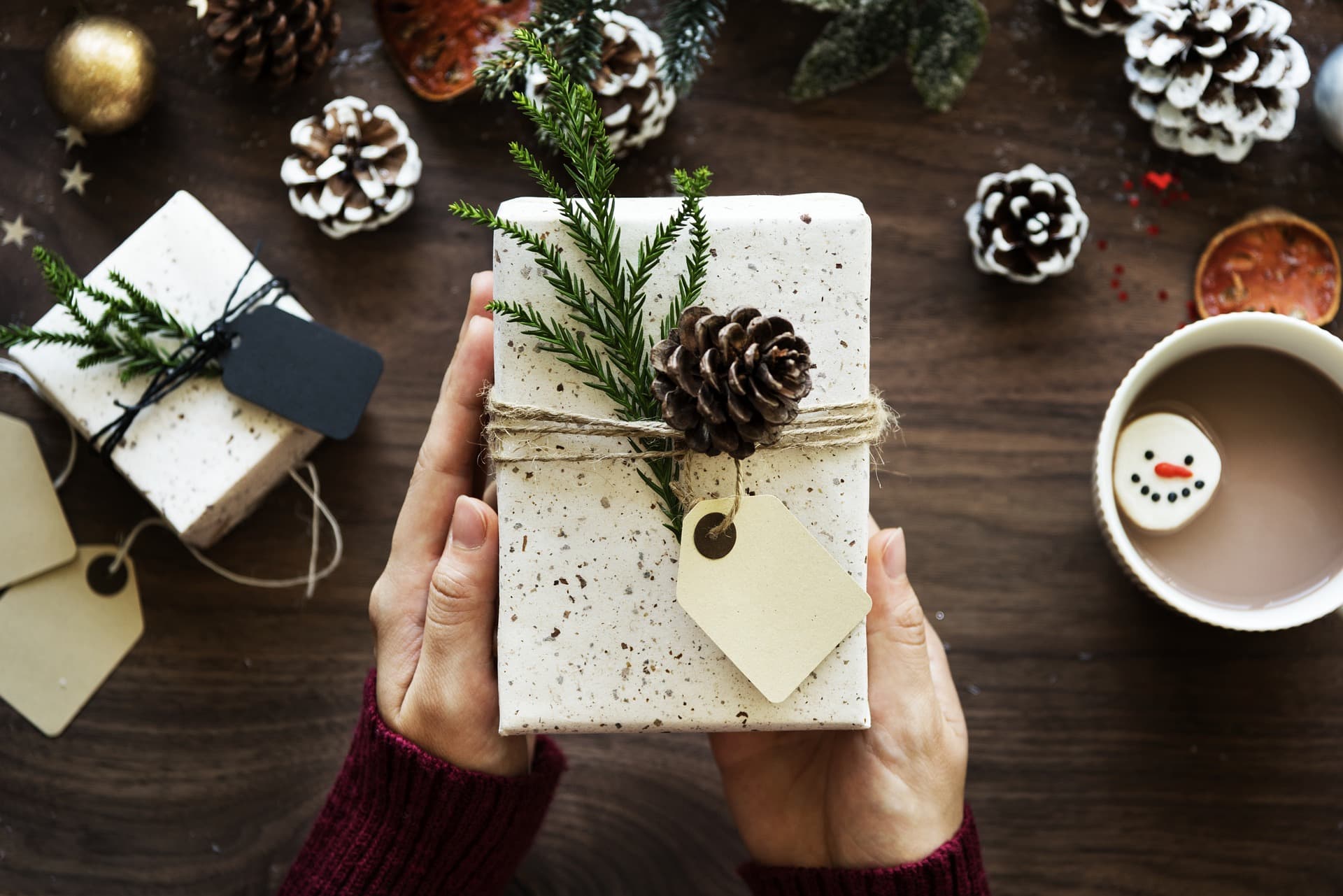 Smart Home Gift Ideas for Christmas